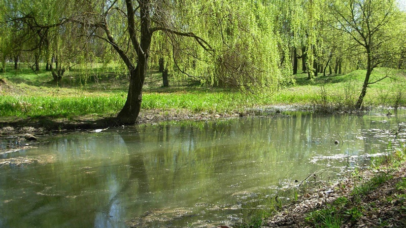 Берег Сапалаївки у Луцьку - розчистять