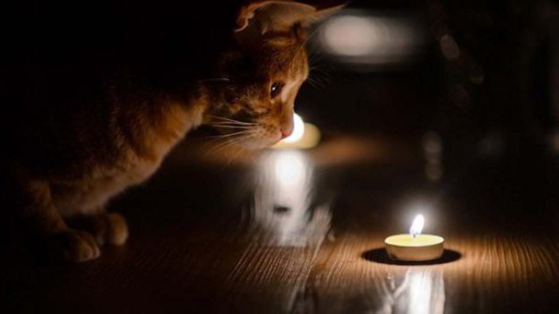 Де завтра, 16 лютого, на Волині не буде світла