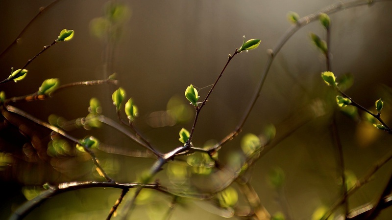 Якою погодою зустріне лучан понеділок