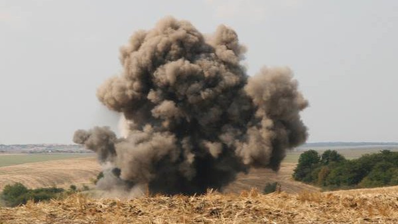 Сапери ДСНС знищили 12 вибухонебезпечних предметів, які знайшли волиняни