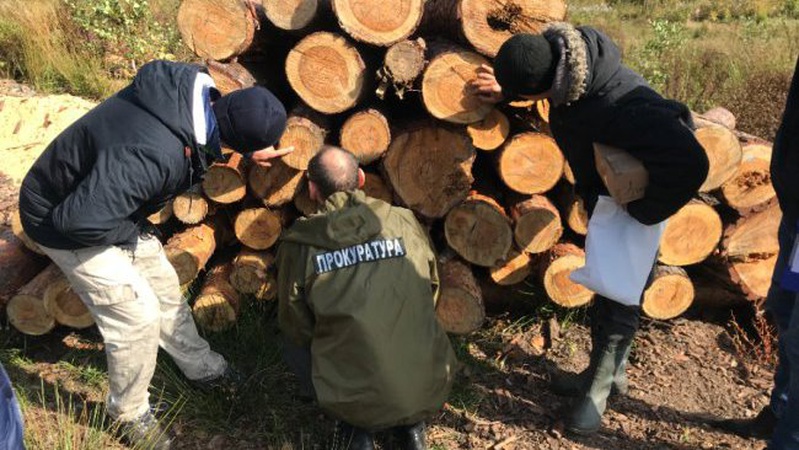 У селі на Волині провели обшуки пилорами: як покарали правопорушників