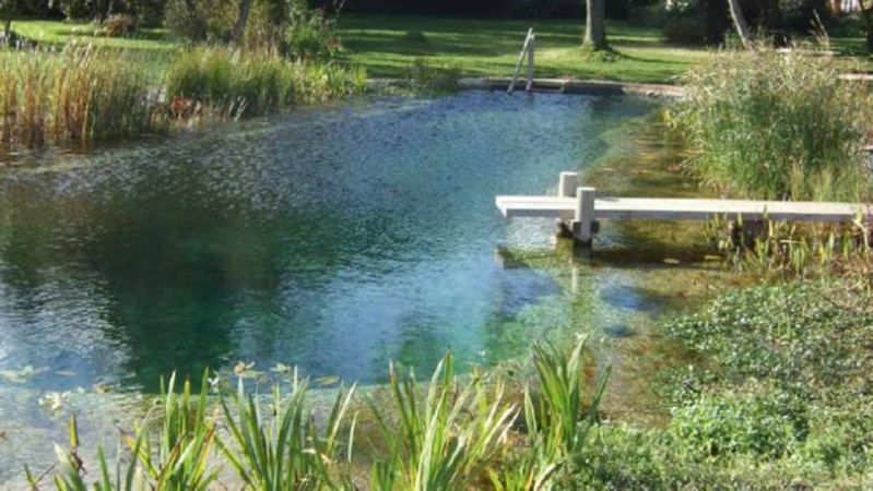 Волинянина оштрафували за викопаний на власній землі ставок