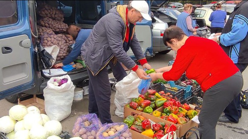 Чому на Волині дорожчають сезонні овочі