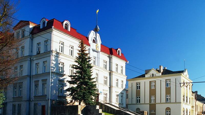 На Волині з партії «Слуга Народу» планують відкликати депутатів