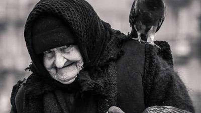 Померла берегиня миру, жінка, яка годувала голубів на Театральному майдані у Луцьку