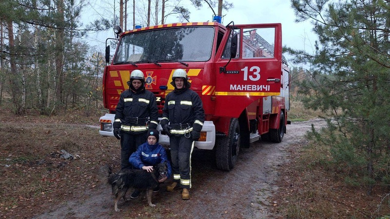 На Камінь-Каширщині собака впала в яму глибиною 5 метрів