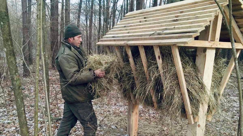 Як на Любомльщині лісівники диких тварин підгодовують