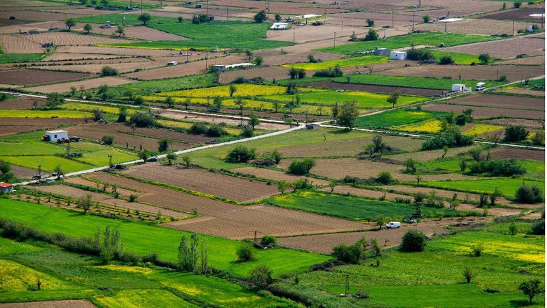 На Волині наполягають на повернення у власність держави земель вартістю майже 485 мільйонів гривень