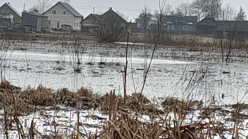 Через паводок на Волині фіксують підйом захворюваності на вірусний гепатит А