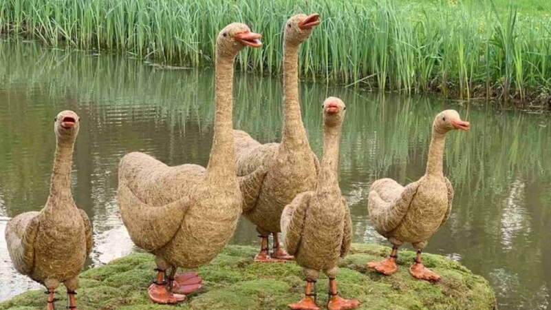 У луцькому центральному парку встановили нові артінсталяції