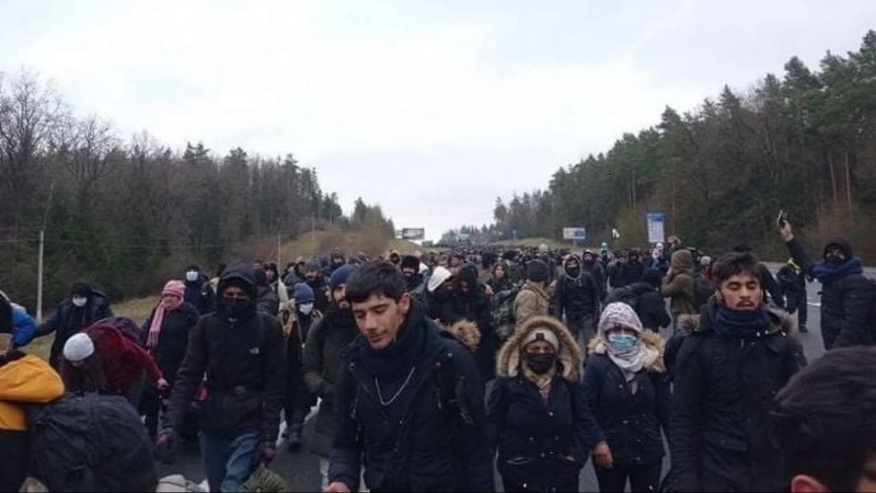 До Польщі прорвалися пів сотні мігрантів з Білорусі