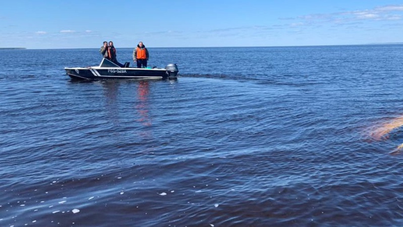 На Світязі через шторм люди опинилися посеред озера