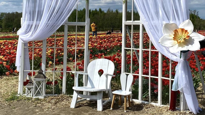 У «Волинській Голландії» облаштували гарні фотозони
