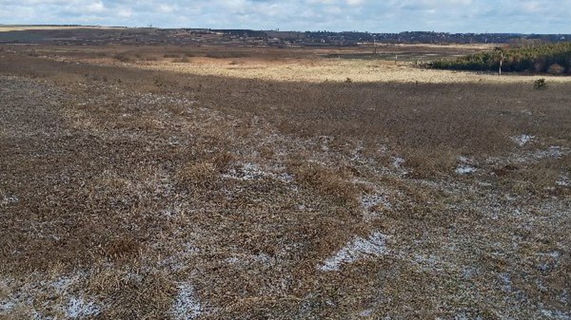 На Волині виставили на аукціон право оренди земельної ділянки
