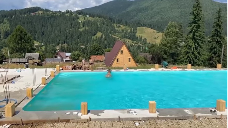 У Карпатах корова стрибнула в басейн для відпочивальників. ВІДЕО