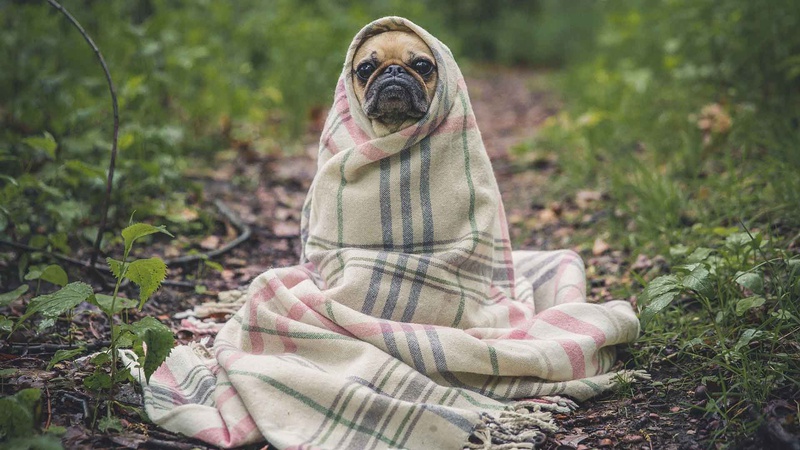 Від -2 морозу до +20 тепла: якою буде погода на вихідних