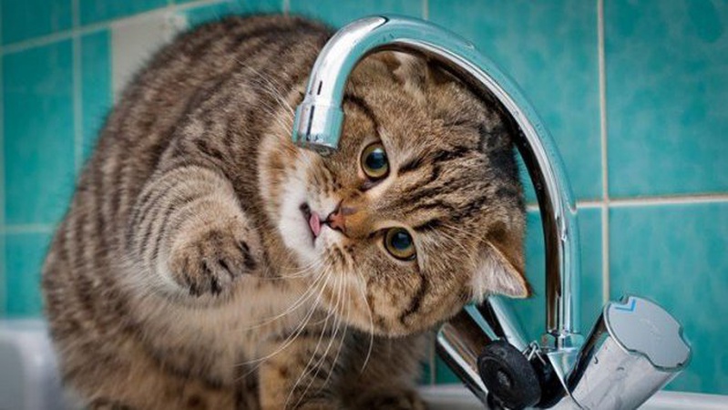 Повідомили, коли на ЛПЗ з’явиться гаряча вода