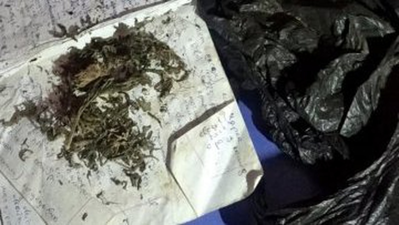 19-річного волинянина, підозрюваного у торгівлі канабісом, взяли під варту. ФОТО