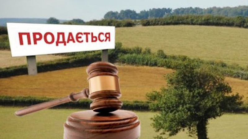 У місті на Волині з молотка продаватимуть землю