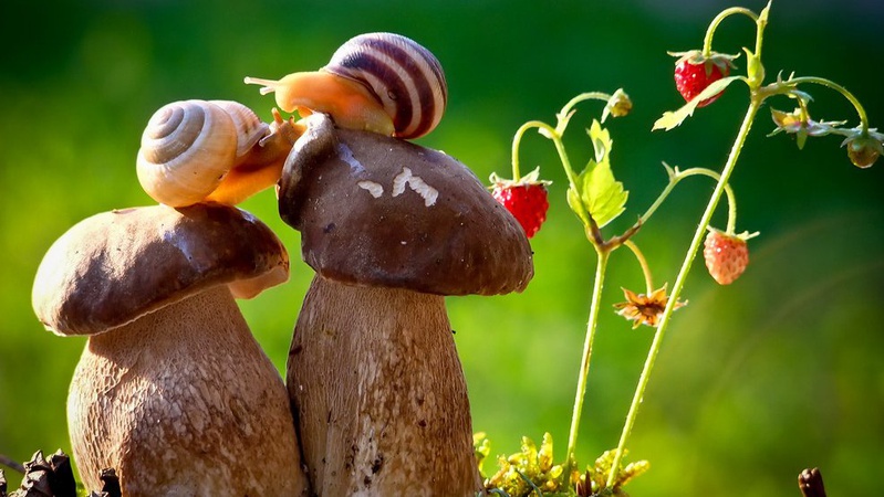 Більшість областей накриють дощі: прогноз погоди на 1 вересня