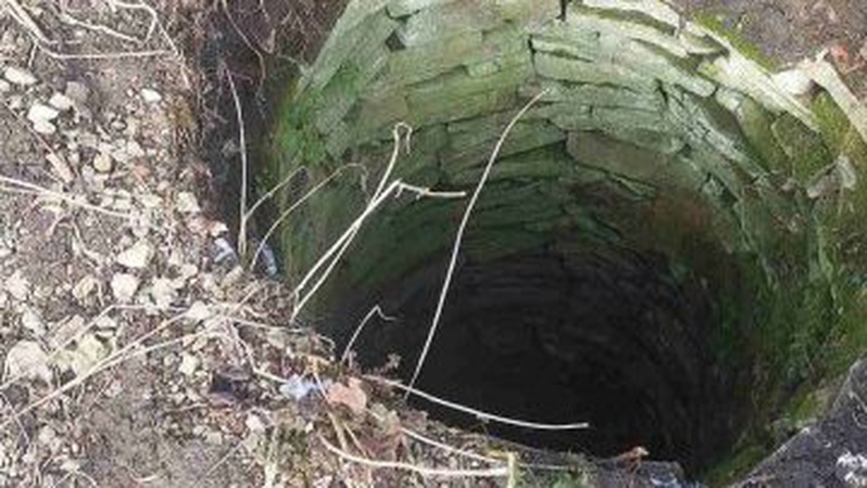 Вкинула двох собак у колодязь: волинянку судять за жорстоке поводження з тваринами