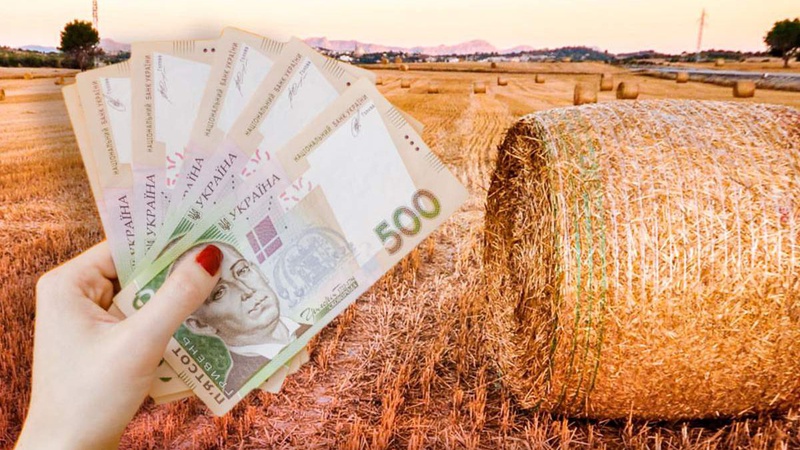 Скільки мільйонів надійшло за землю до бюджету Луцька