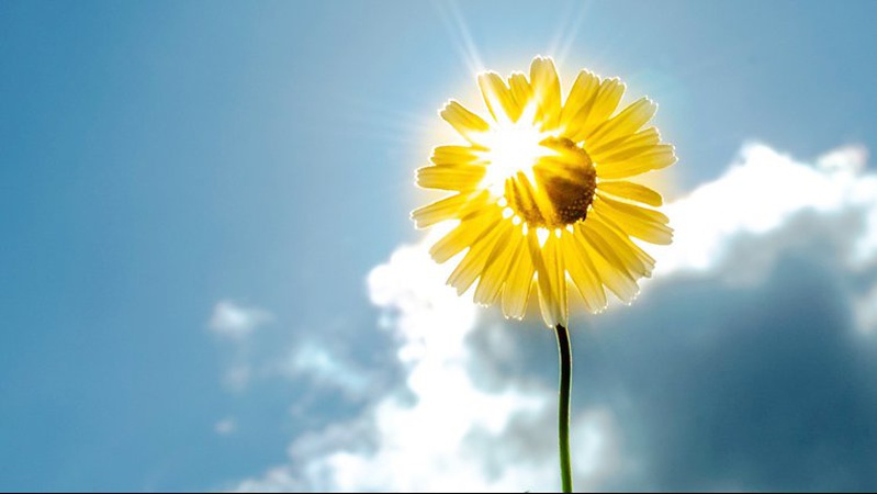 Синоптикиня порадувала прогнозом погоди на перший день квітня