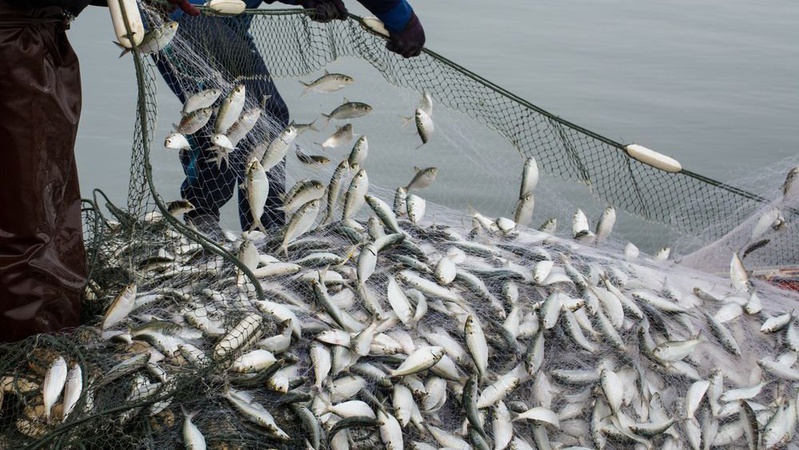 На Волині зловили 9 рибалок-браконьєрів