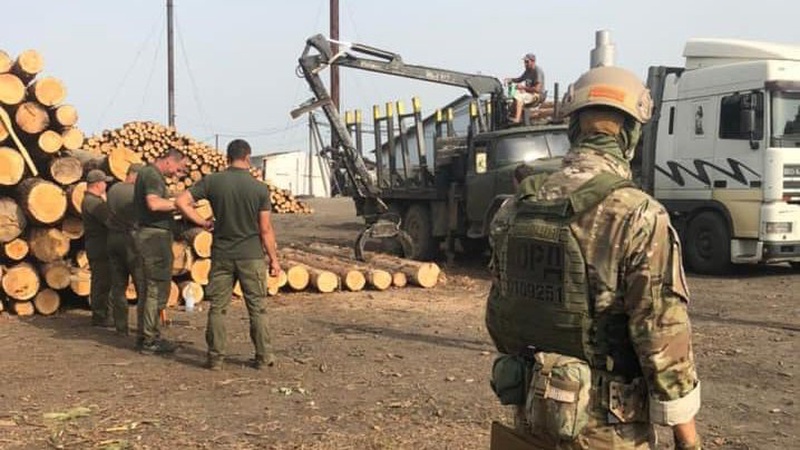 На Волині лісопереробник накрав деревини на понад 2,6 мільйона гривень