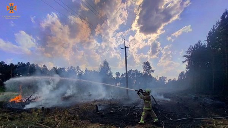 Минулої доби на Волині горіла суха трава