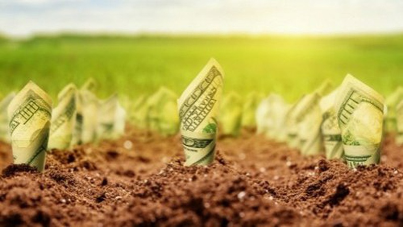 Чому досі не запрацював ринок землі в Україні: повідомили причину