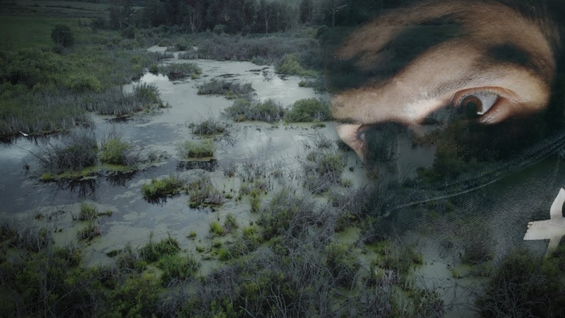 Біля кордону Польщі з білоруссю знайшли останки двох людей