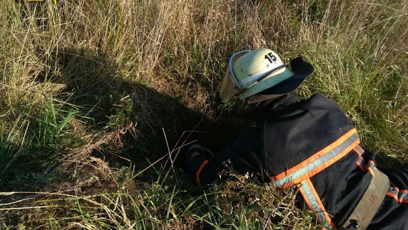 На Волині врятували собаку з глибокої ями