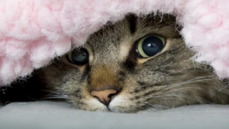 До України повертається похолодання