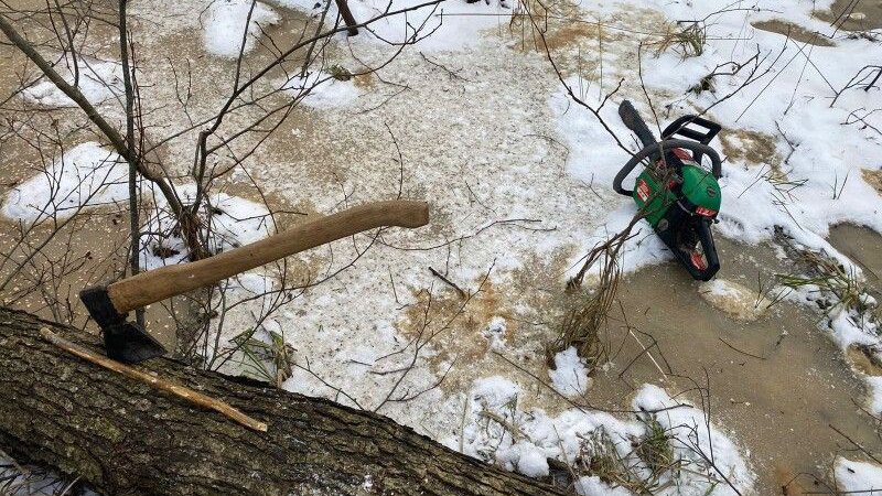 Прикордонники спіймали волинянина, який незаконно рубав ліс