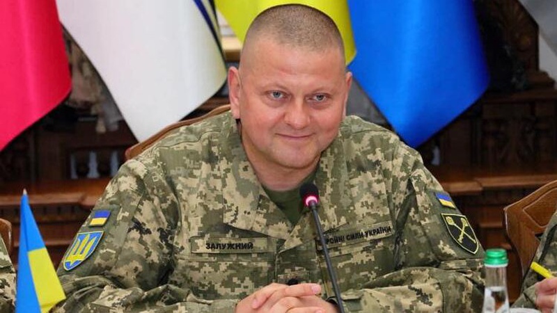 10 фактів із життя Валерія Залужного