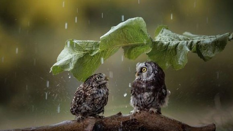 Яка погода очікується завтра, 30 липня