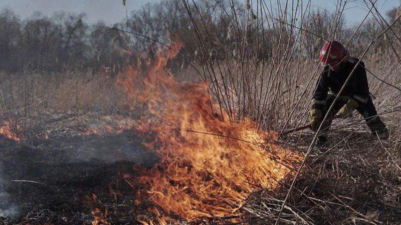 У селі біля Луцька виявили палія сухої трави