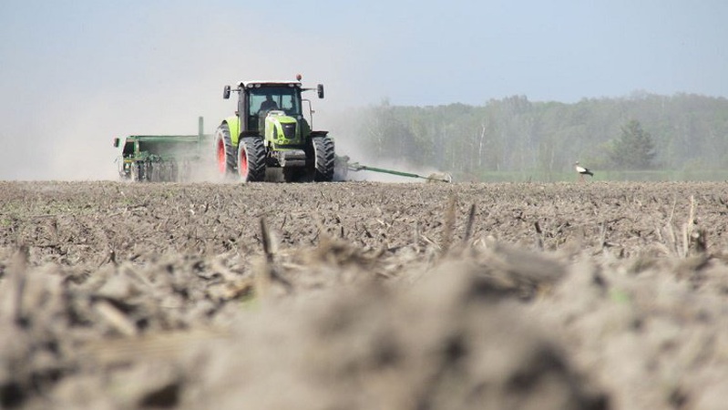 На Волині посіяли ярих зернових на площі 100 тисяч гектарів