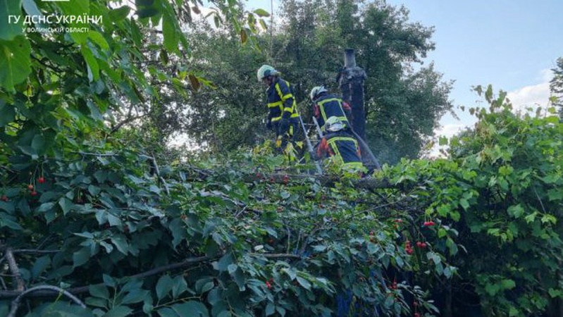 На Волині горіли дві господарські будівлі та сміття