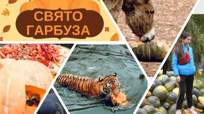 Свято наближається: луцький зоопарк оприлюднив програму на день гарбуза