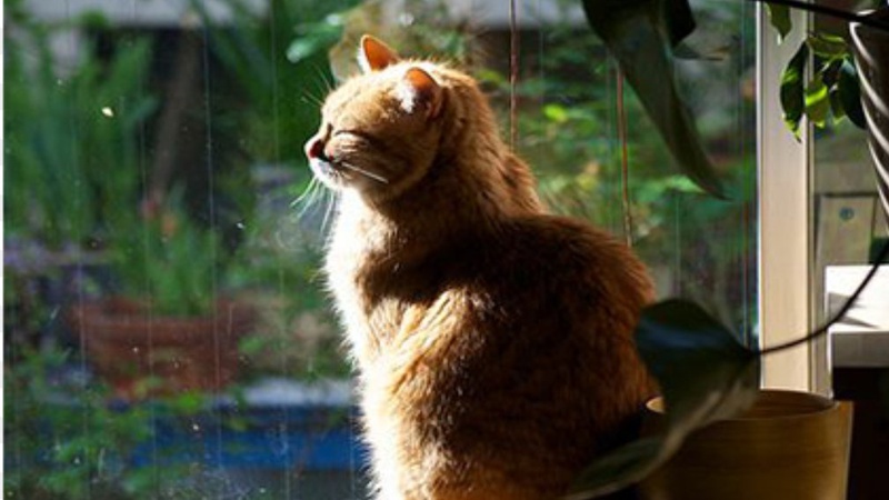 На Волині буде тепло: прогноз погоди на тиждень