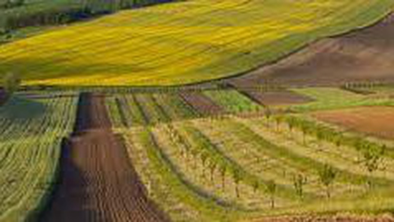 На Волині державі повернуто 16 га земель оборони