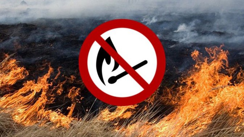 Спалення сухої трави і сміття прирівнюється до диверсій, - ДСНС