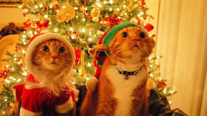 Як українці відпочиватимуть на Новий рік та Різдво: календар вихідних