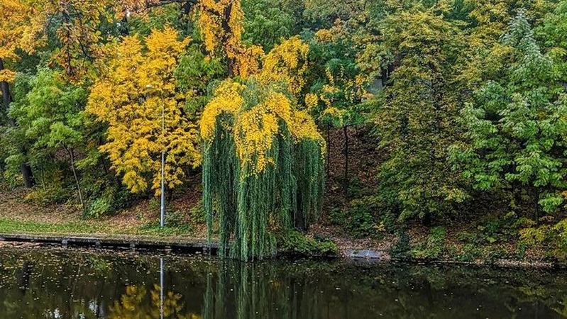 Сонячно та до 28° тепла: прогноз погоди на 8 вересня
