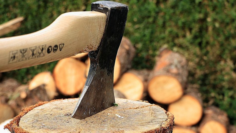 Новий опалювальний сезон: як та за скільки купити дрова волинянам