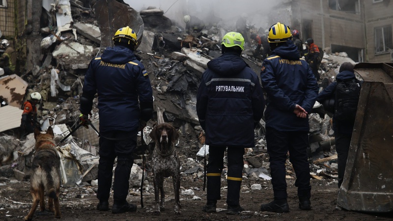 Собаки ДСНС дістають тіла загиблих людей з-під завалів будинку в Дніпрі