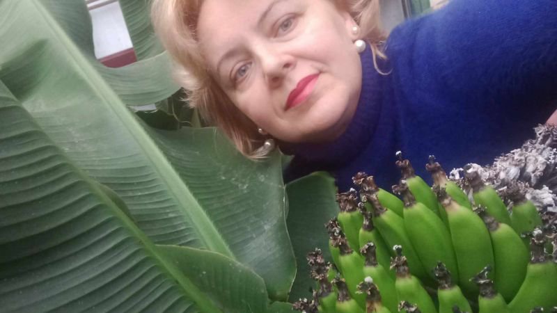 Волинянка в оранжереї вирощує банани, мандарини, апельсини та ківі