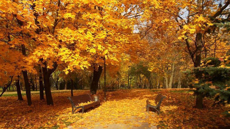 Якою буде погода на Волині: прогноз на 13 листопада